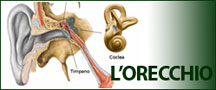 ISME - Istituto Medico Europeo Palermo, Direttore Sanitario Salvatore Piscitello, CONVENZIONATO SSN SERVIZIO SANITARIO NAZIONALE, Allergologia e Immunologia clinica, Audiologia, Chirurgia Ambulatoriale, Chirurgia Estetica, Chirurgia Funzionale ed estetica del naso, Chirurgia Generale, Chirurgia Laparoscopica, Chirurgia Plastica e Ricostruttiva, Foniatria, Ginecologia ed Ostetricia, Otorinolaringoiatria e Chirurgia Cervico - Facciale, Otorinolaringoiatria Pediatrica, CONVENZIONATO PALERMO, SSN PALERMO, MUTUA, Audiologia Convenzionata SSN Palermo 